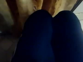 dthedog12 webcam chaturbate model stream image