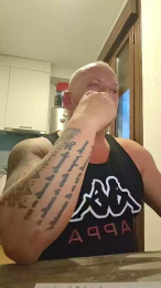 misteralexxx webcam model stream image