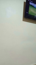 Erendemaria webcam model stream image