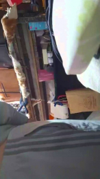 Madrid_sierra webcam cam4 model stream image