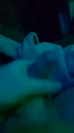 tomsauwer webcam model stream image