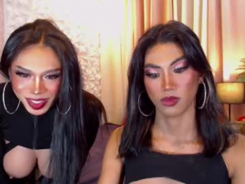 wildroxie webcam model stream image