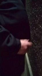 TFgr81 webcam model stream image