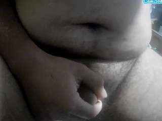 naviworks webcam model stream image