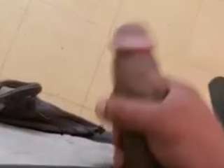 bbcnuttank webcam model stream image