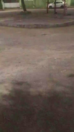 pregnanhot webcam model stream image