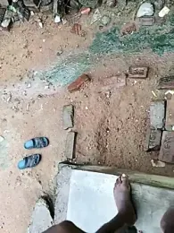 dolphiinn webcam model stream image