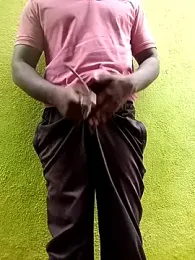 dolphiinn webcam model stream image