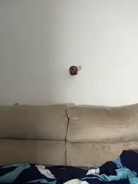 Rose_berry webcam model stream image