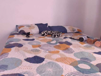 Miaroush09 webcam bongacams model stream image