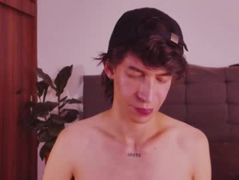 2gays_1straight webcam model stream image