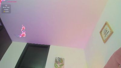 Piavenecia webcam model stream image