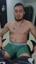 _LIONEL_ webcam model stream image