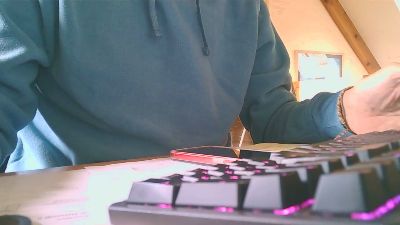 pilsanet webcam model stream image