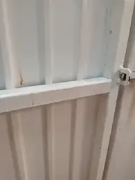 Lic_Morboso webcam stripchat model stream image