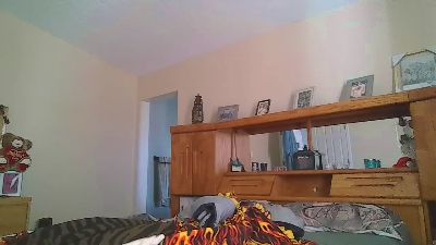 Swingersfun4U webcam model stream image