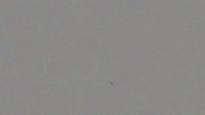 Blakke_AnnCams webcam model stream image