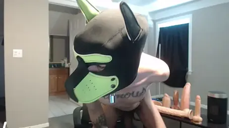 Michigan9000 webcam model stream image