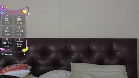 Shinka webcam model stream image