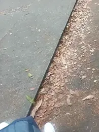 andresj22hot webcam stripchat model stream image