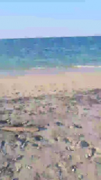 napoletano193 webcam model stream image