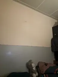 georgept webcam model stream image