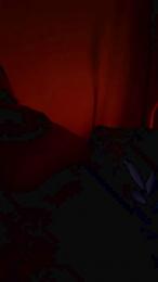 Pelarapa1995 webcam model stream image
