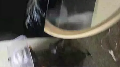 Mrkarizma webcam model stream image