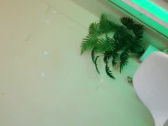 lady_in_black18 webcam model stream image