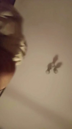 soy_sofie1 webcam model stream image