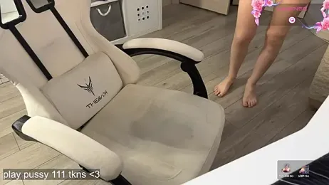 apex_sh webcam model stream image