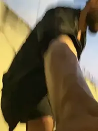 Dasul_ webcam model stream image