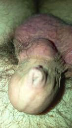 litorale40 webcam model stream image