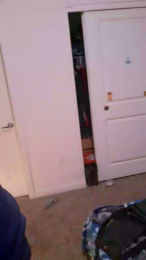 PDxRawr1 webcam model stream image