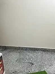 Shanu_Shah webcam stripchat model stream image