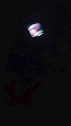 Natalia75papi29 webcam cam4 model stream image