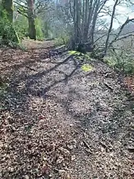 FreezingTie850 webcam model stream image