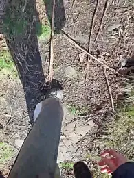 FreezingTie850 webcam model stream image