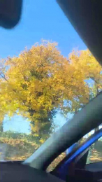 Claufiagen7 webcam model stream image