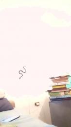 Lemon_criptohot webcam model stream image