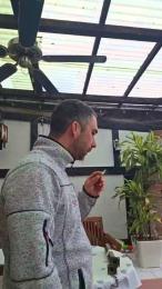 Chlorophytum webcam model stream image