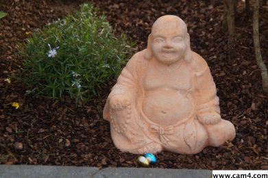 Parisamour webcam model stream image