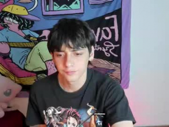 sai_l webcam model stream image