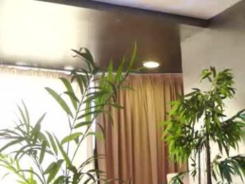 hotbustybabex webcam model stream image