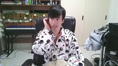 IroManager webcam model stream image