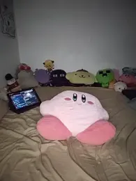 Aressvs webcam model stream image