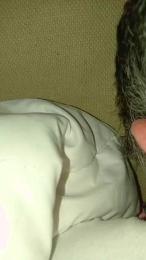 noicoppia71 webcam model stream image