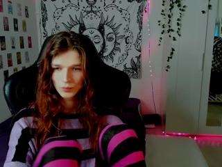 iceseeker2 webcam model stream image