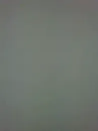 Sexy-girl webcam model stream image