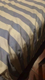 Checheedd webcam model stream image